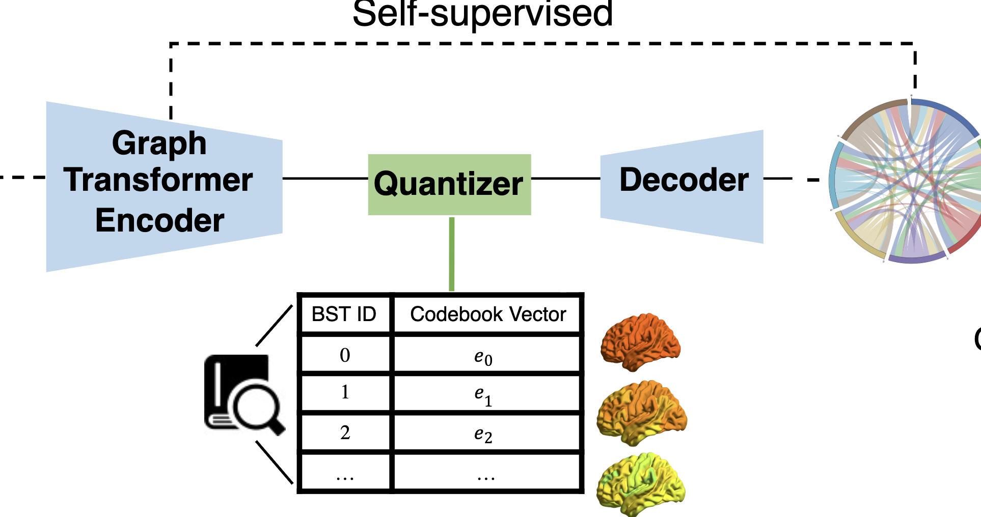 Normative Brain Dynamics Paper Thumbnail